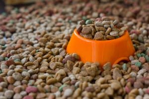 orange bowl filled with pet food bulk materials