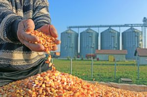 man with corn in his hand experiencing the hidden cost of bad flow aids